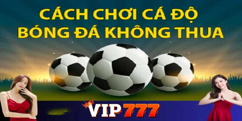 Các loại kèo cược tại Thể thao Vip777